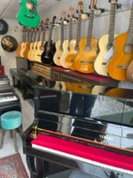 پیانو طرح اکوستیک yamaha p225 pro